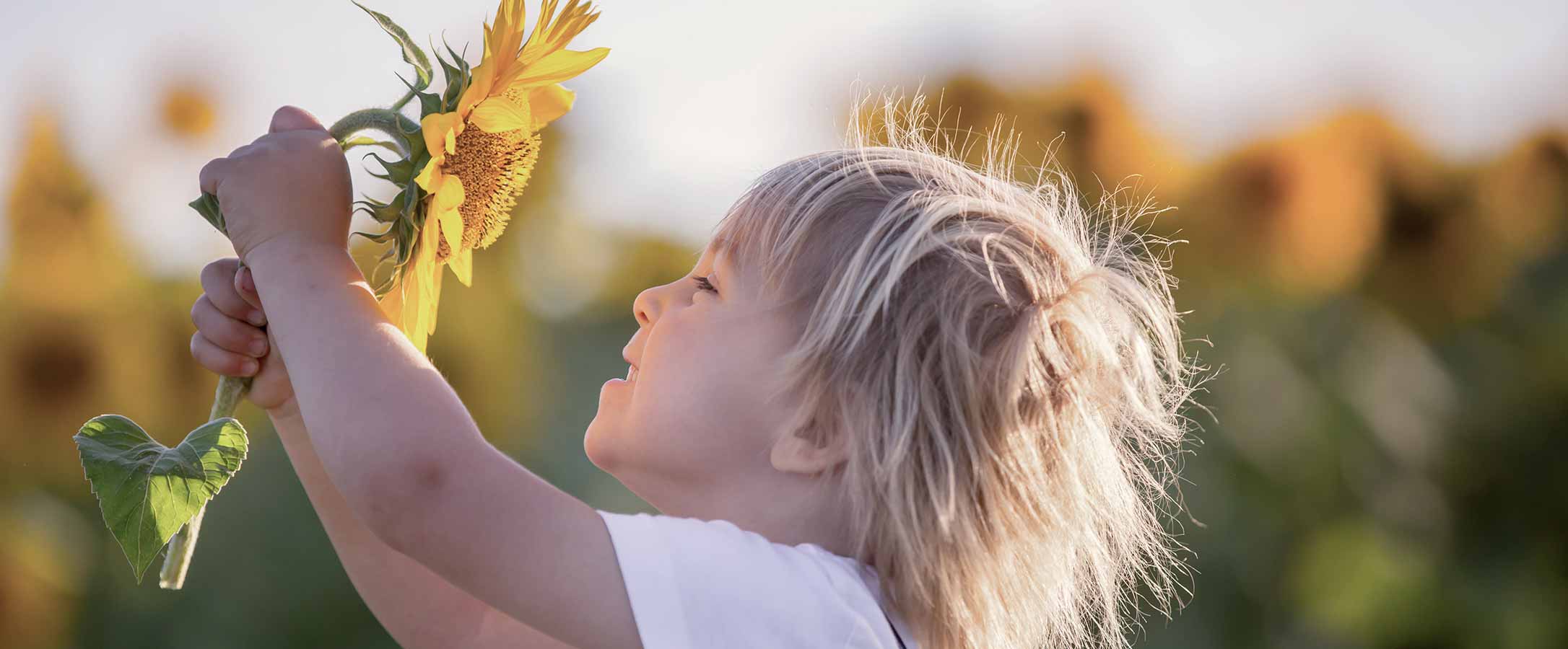 A young kid holding and smiling to a sunflower