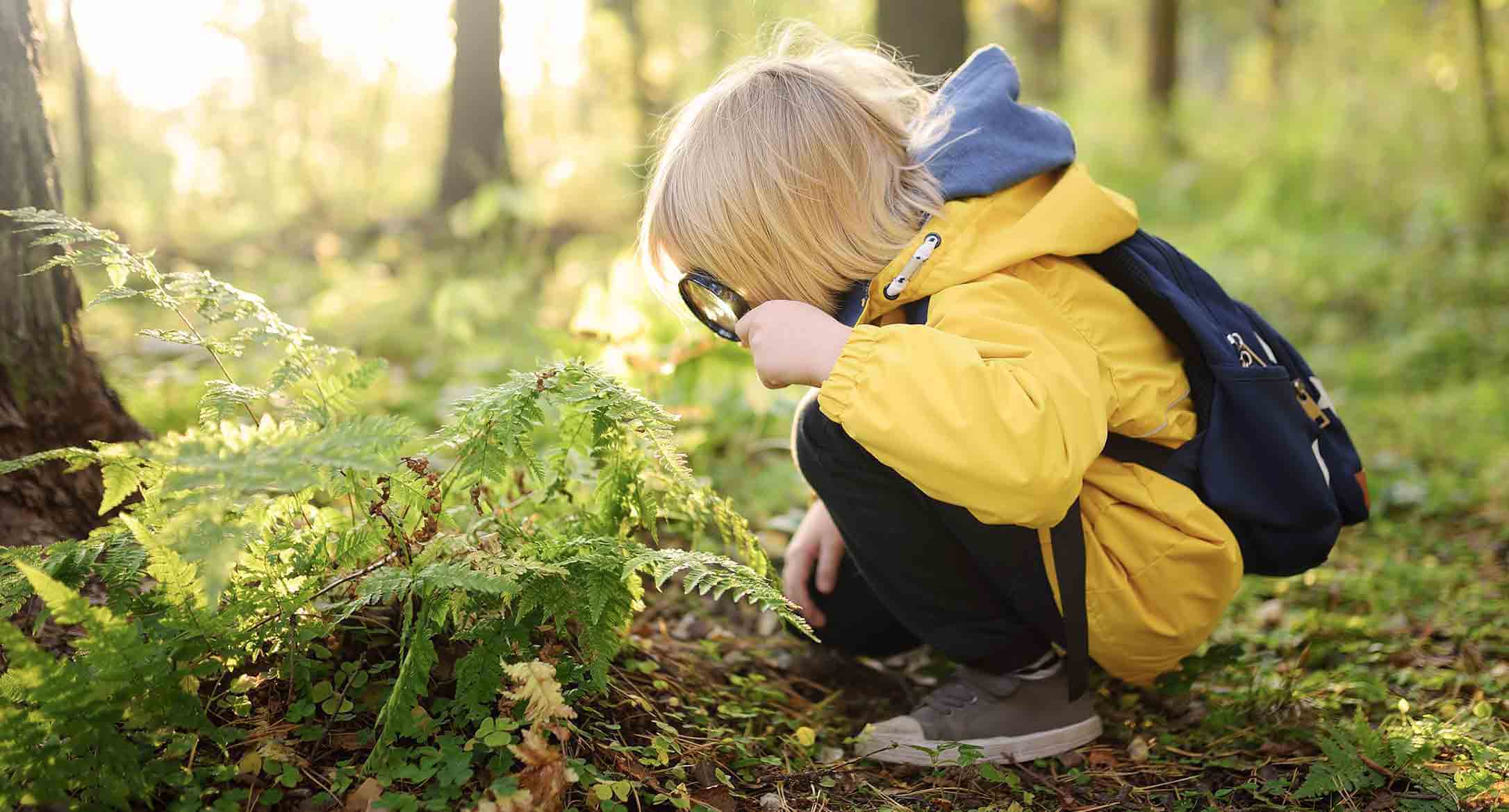 Little child exploring nature with magnifying glass